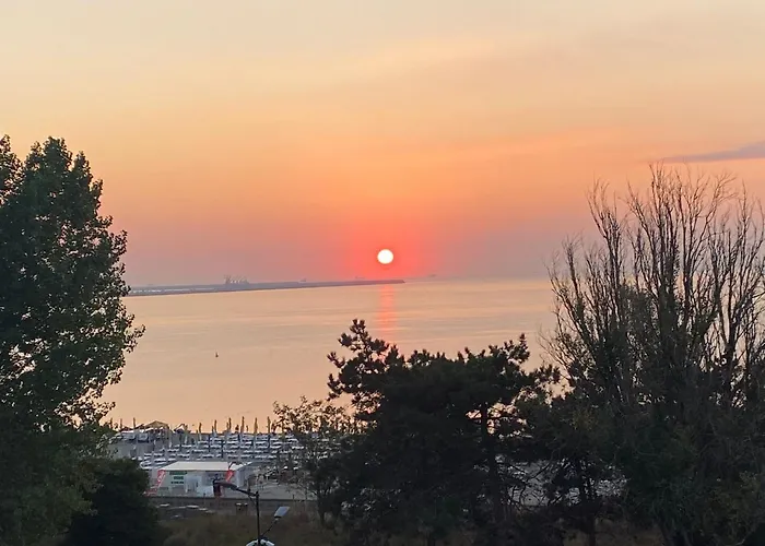 Minerva 2* Эфорие Норд